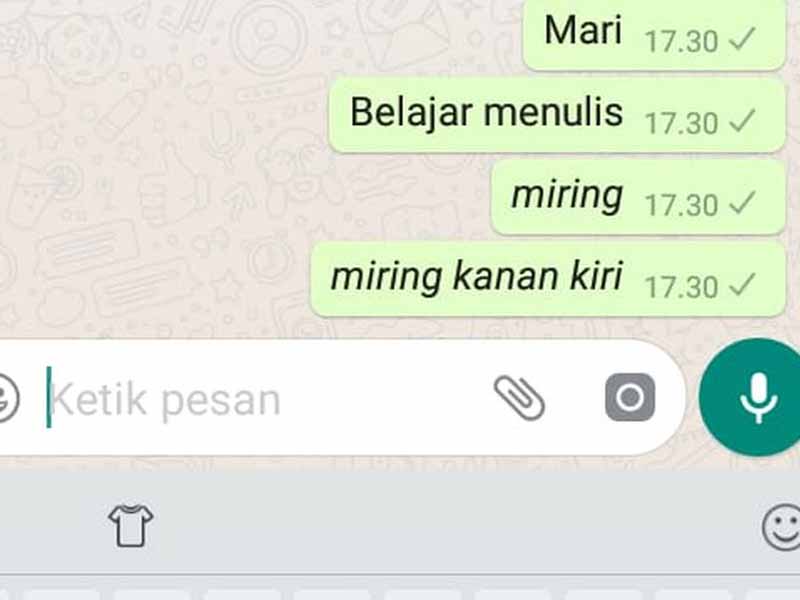 Gaya Tulisan WhatsApp